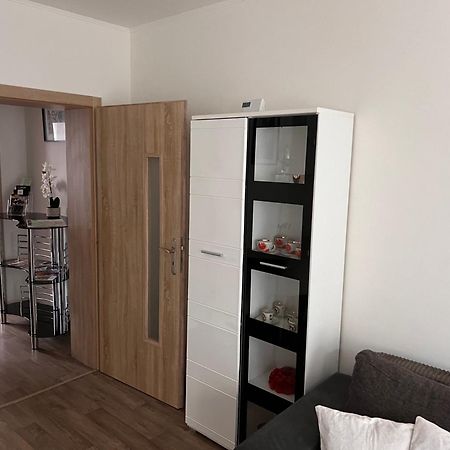 Apartmentscarlsbad كارلوفي فاري المظهر الخارجي الصورة