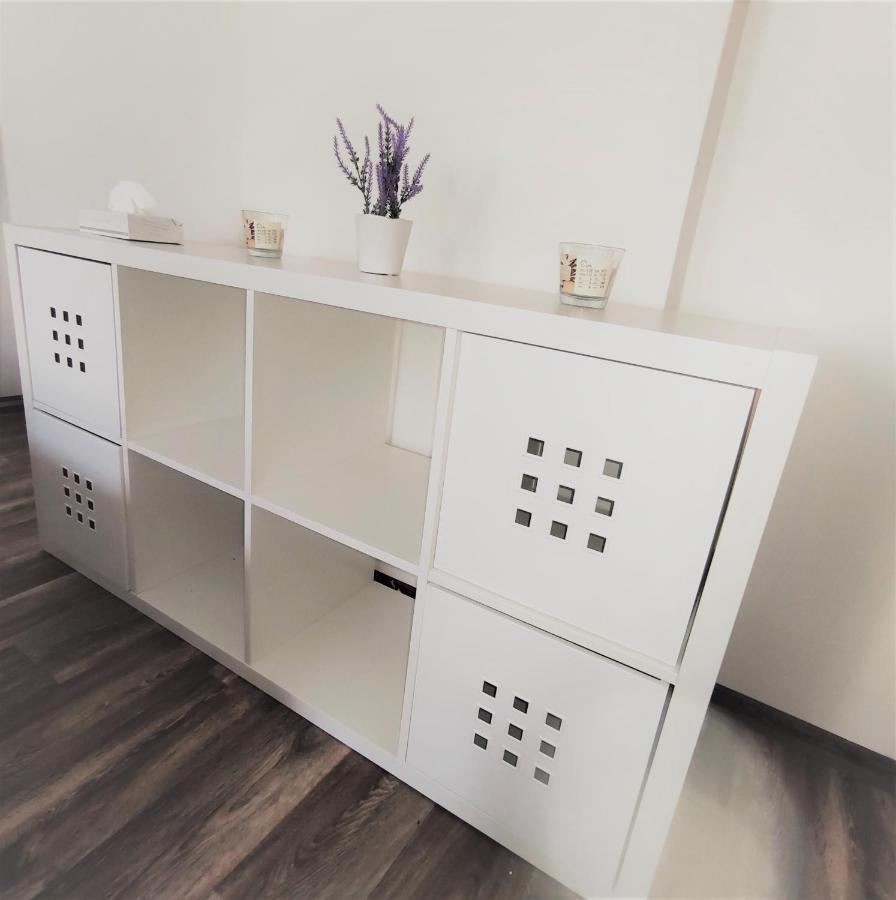 Apartmentscarlsbad كارلوفي فاري المظهر الخارجي الصورة