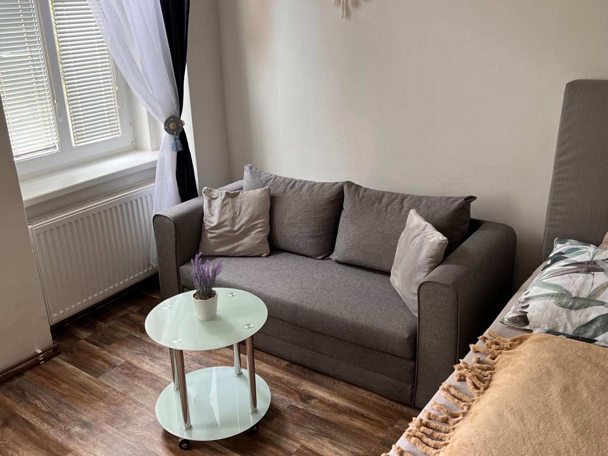 Apartmentscarlsbad كارلوفي فاري المظهر الخارجي الصورة