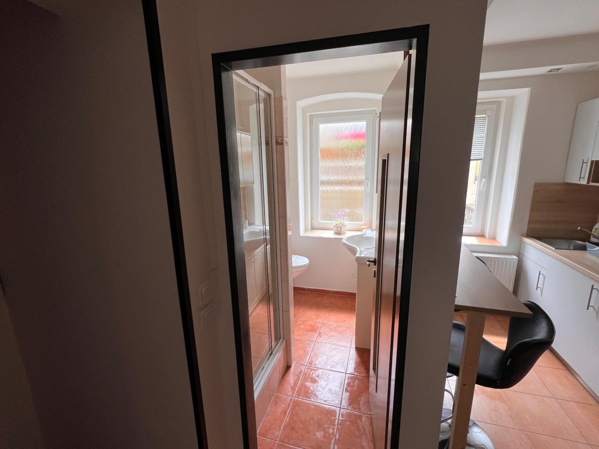 Apartmentscarlsbad كارلوفي فاري المظهر الخارجي الصورة